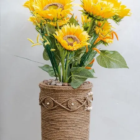 Alessia Maison d'hôtes