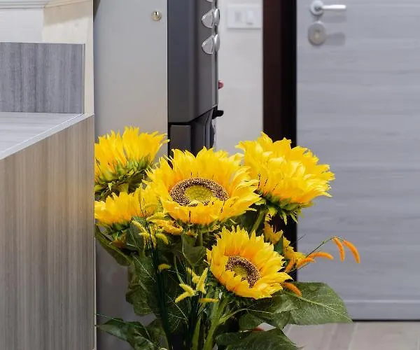 Maison d'hôtes Alessia