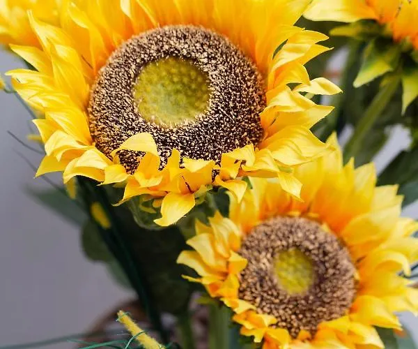 Maison d'hôtes Alessia 3*