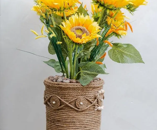 Alessia Maison d'hôtes